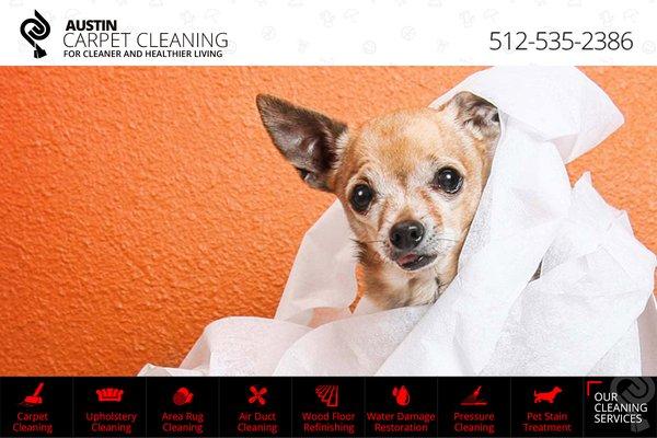 Pet Odor and Stain Removal