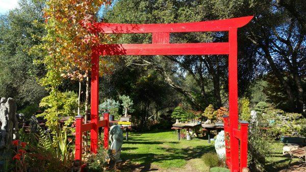 Entrance to Lotus Bonsai gardens