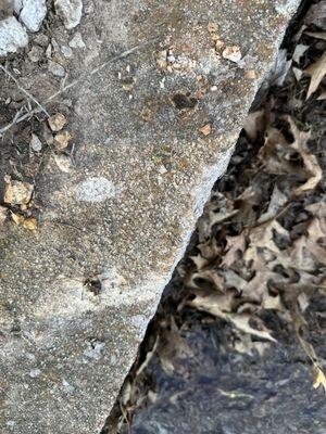 Concrete scraped and damaged by his tow platform