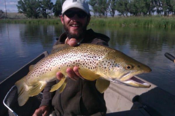 Bighorn River, Wyoming - Brown Trout