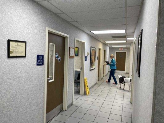 Separate dog and cat exam rooms.