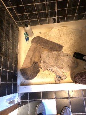 They Threw Dirt Towel Mine Into My Shower Stall! Why?