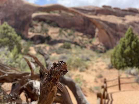 Landscape Arch