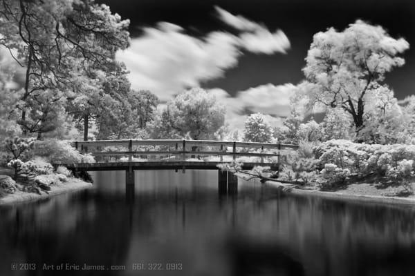 Infrared Photography