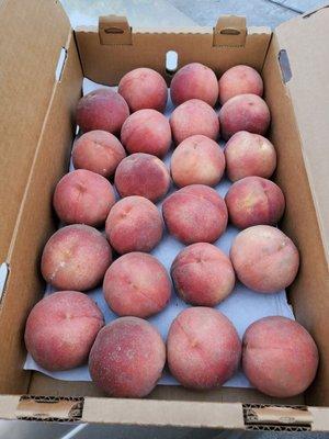 Organic white peaches from Kashiwase Farms