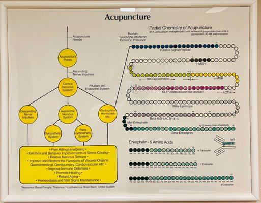 Partial Chemistry of Acupuncture