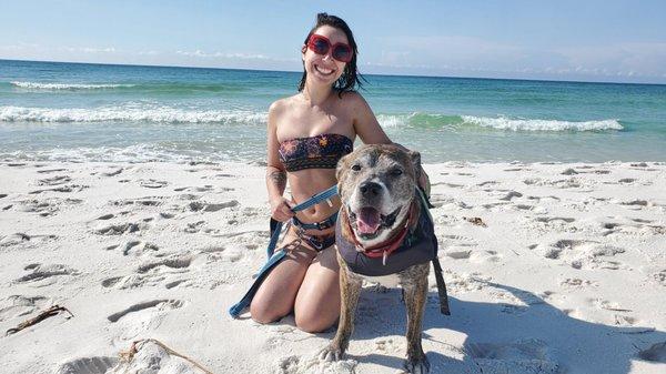 Pensacola Dog Beach East