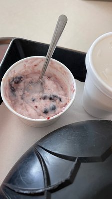 Yogurt with blueberries