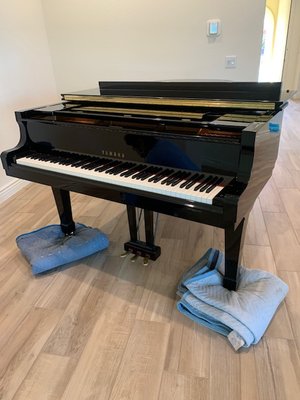 Yamaha Grand Piano 6'3 Moved by Berggie Movers