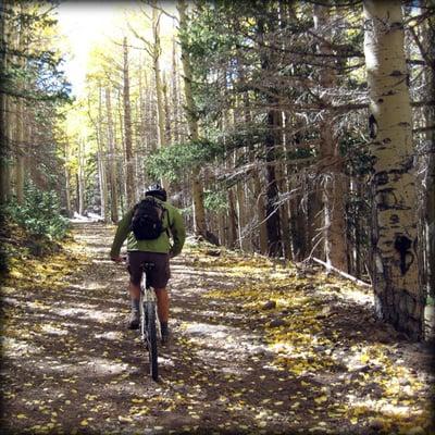 Southwest Climbing loves to mountain bike too (Flagstaff, Arizona)