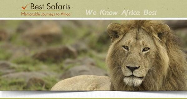 Best Safaris