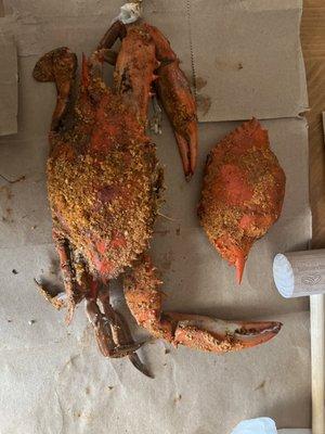 Was just sold both of these as large crabs.......