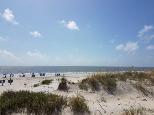 The beach view. The Atlantic is so different!