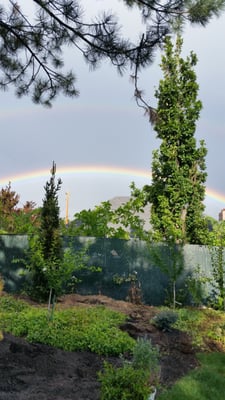 Millcreek Landscape