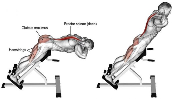 Back extension, great workout to hit multiple muscle groups in the back area