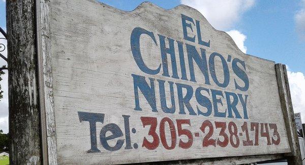 El Chino Nursery  Address: 16751 SW 177th Ave, Miami, FL 33187  Phone: (305) 238-1743