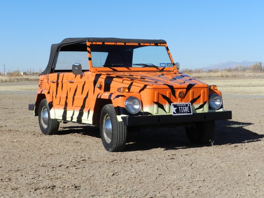 Custom painted VW Thing