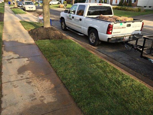 Covenant Greens landscaping