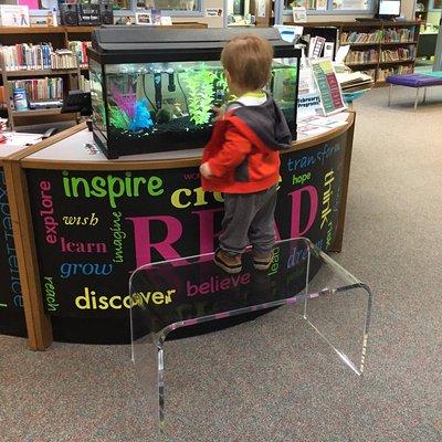 library wanted a clear table sturdy enough for kids to stand on.