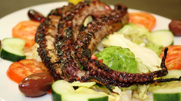 GRILLED OCTOPUS