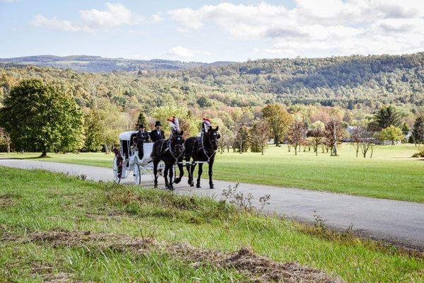 Bride on her way to her wedding in a beautiful horse and carriage