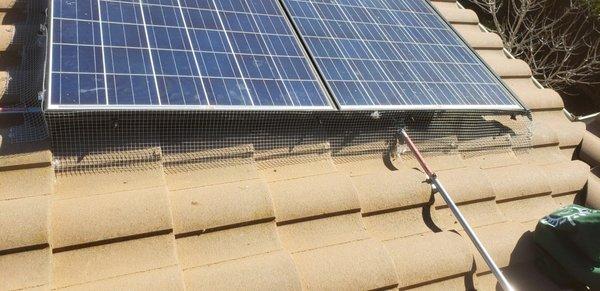 Underside of solar panels sealed to prevent pigeons from nesting under panels