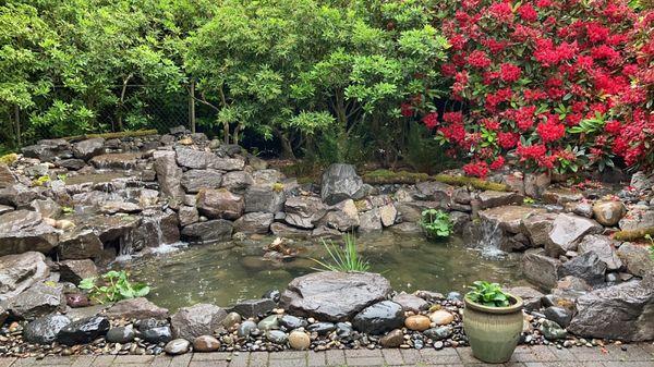 Water falls and pond by the Water Shed Team