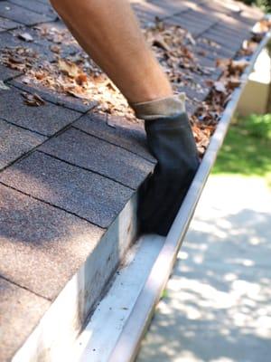 Gutter Cleaning