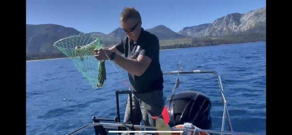 Nice Kokanee straight out of the lake. Lots more where that came from.