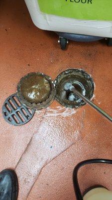 Drain treatment