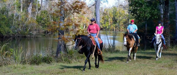 Sudie leading the gang past one of many gorgeous views on this trail.