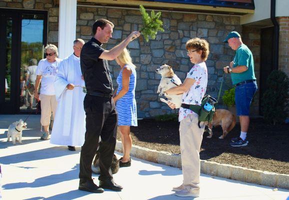 Blessing of Animals on the Feast of St. Francis of Assisi