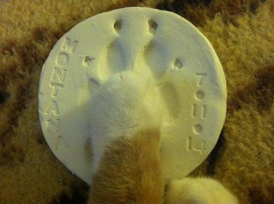 Clay paw print