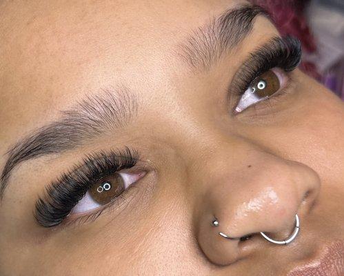 My Loving Lashes