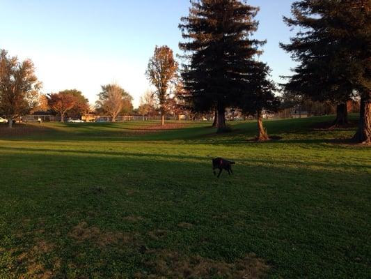 Enjoying the wide open space!