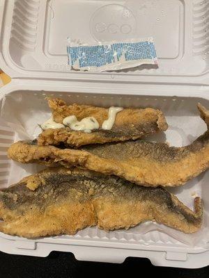 Whiting Fish