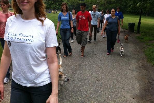 Pack walk (Prospect Park)