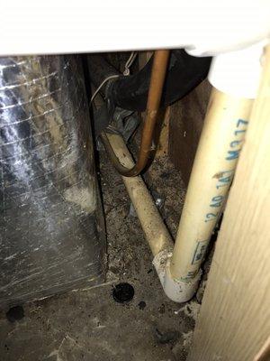 21 year old PVC drainline not replaced.