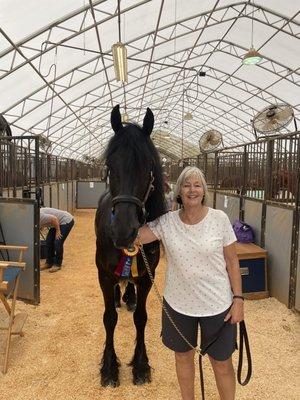 Andre Fourie Stables