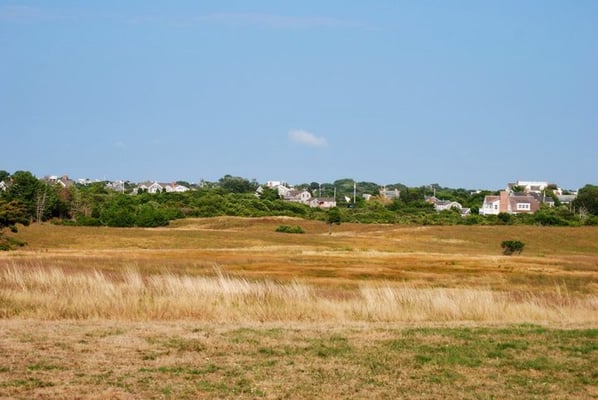 Tupancy links land from the trail.