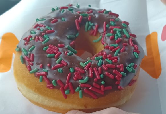 Chocolate sprinkled donut