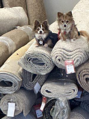 Carpet sale