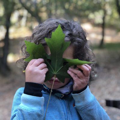 Emerald Heart Forest School