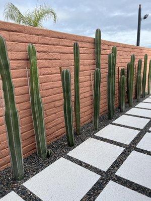 Outdoor Patio