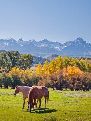 Country Living