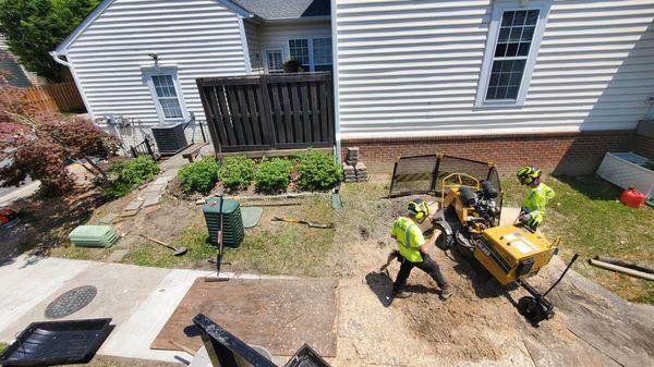 Site protections are mandatory for stump removals!