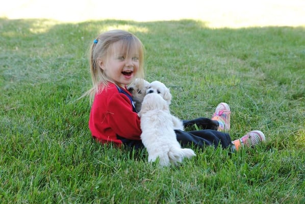 Addie and the farm puppies!