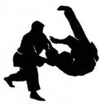 Mushin Hapkido