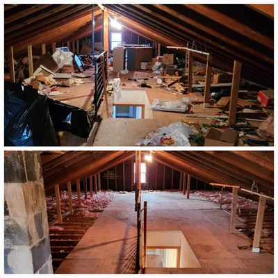 Attic cleanouts