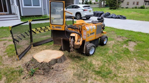 STUMP GRINDING SERVICES
NJTC897487